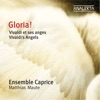 Caprice - Motet In C Minor “In Furore Iustissimae Irae”, Rv 626: I. Aria: In Furore Iustissimae Irae (Allegro)