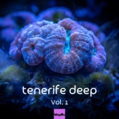 Tenerife Deep, Vol.1 artwork