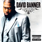 David Banner - Thinking Of You (feat. Case)