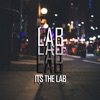 It's the Lab - Single