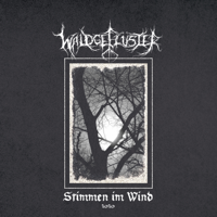 Waldgeflüster - Stimmen im Wind (2020) artwork