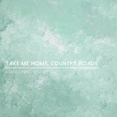 Take Me Home, Country Roads artwork