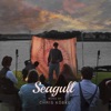 Seagull (Original Motion Picture Soundtrack)