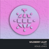 Wildberry Lillet (Electro Acoustic Mix) artwork