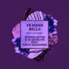 Xe Mana Bella (The KiDDo Remix) [feat. DJ Satelite & Fredy Massamba] - Single album lyrics, reviews, download