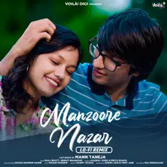 Manzoore Nazar (Lo-Fi Remix) Song Lyrics