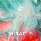 Miracle artwork