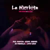 La Hierbita (feat. Real Phantom, Azhika, Robinho, RD Maravilla & Livity Crew) song lyrics