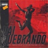 Vai Quebrando (Desce Que Desce) (feat. DJ Seduty) - Single