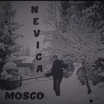 Nevica