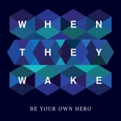 Wake Me (When It's Over) artwork