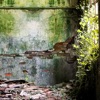 Dwelling Spells - EP