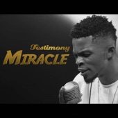 Miracle artwork