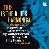 Junior Wells - This is the Blues