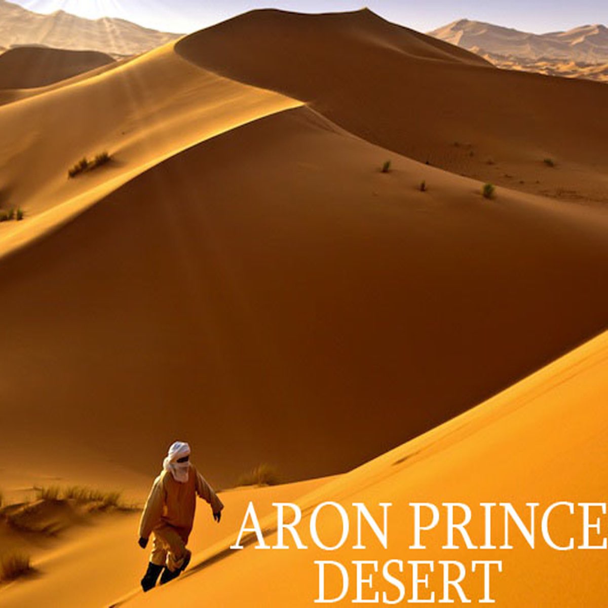 Песня desert. Песнь пустыни. Принц пустыни Постер. Passions of a Desert Prince Gold Edition.