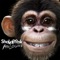 Funky Junky Monkey - Shaka Ponk lyrics