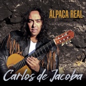 Alpaca Real (feat. Diego Amador) artwork