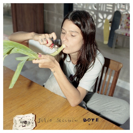 Cover artwork for Bote
