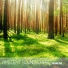 Ambient SoundScapes, Vol. 6