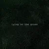 Lying on the Grass - Single album lyrics, reviews, download