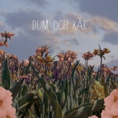 Dum och kär artwork