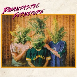 PHANTASTIC FERNITURE cover art