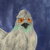Pigeon - Single
