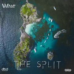 The Split by Willie Waters album reviews, ratings, credits
