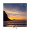 Covinhas - Single