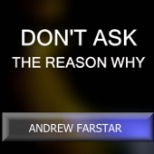 Don't Ask the Reason Why artwork