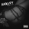 Harley (feat. A.S.I.A.) - Steezy lyrics