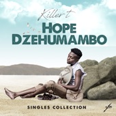 Hope Dzehumambo artwork
