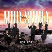 ריקוד חב''ד (feat. Shira Choir) artwork