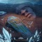 Dikobraz - Skunk lyrics
