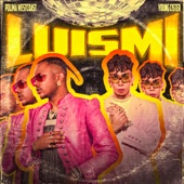 LuisMi artwork