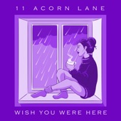 11 Acorn Lane - Wish You Were Here