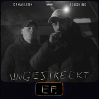 Camaeleon & Koushino - Ungestreckt EP artwork