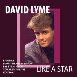 David Lyme - Bye Bye Mi Amor - Line Dance Musique