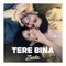 Tere Bina artwork