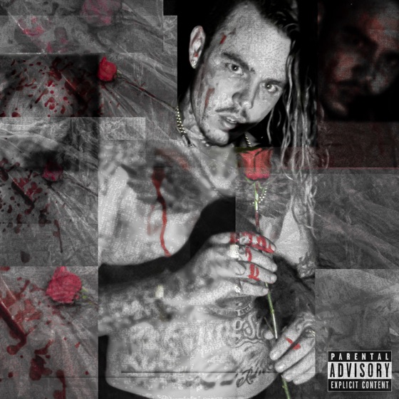 Cover artwork for My Last Goodbye