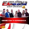 Ámame Con Tu Experiencia - Single