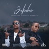 DreamTeam - Jakalas (feat. BEAST & Mzambiya)