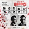 Bad Boy - Single