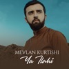 Ya Ilahi - Single