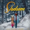 Shokeen (From "Rabb Da Radio 2") - Single, 2019