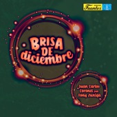 Brisa de Diciembre (feat. Tony Zúñiga) artwork