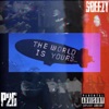 The World Is Yours