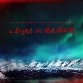 A Light in the Dark artwork