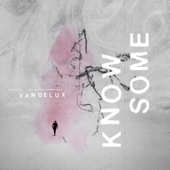 Vandelux - Know Some