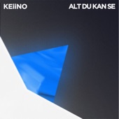 Alt Du Kan Se artwork